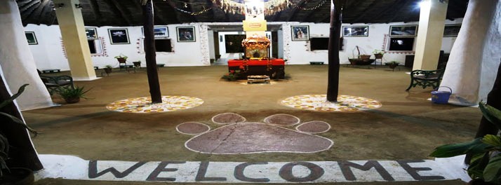 737/Kanha Village Eco Resort - Kanha National Park 02.jpg